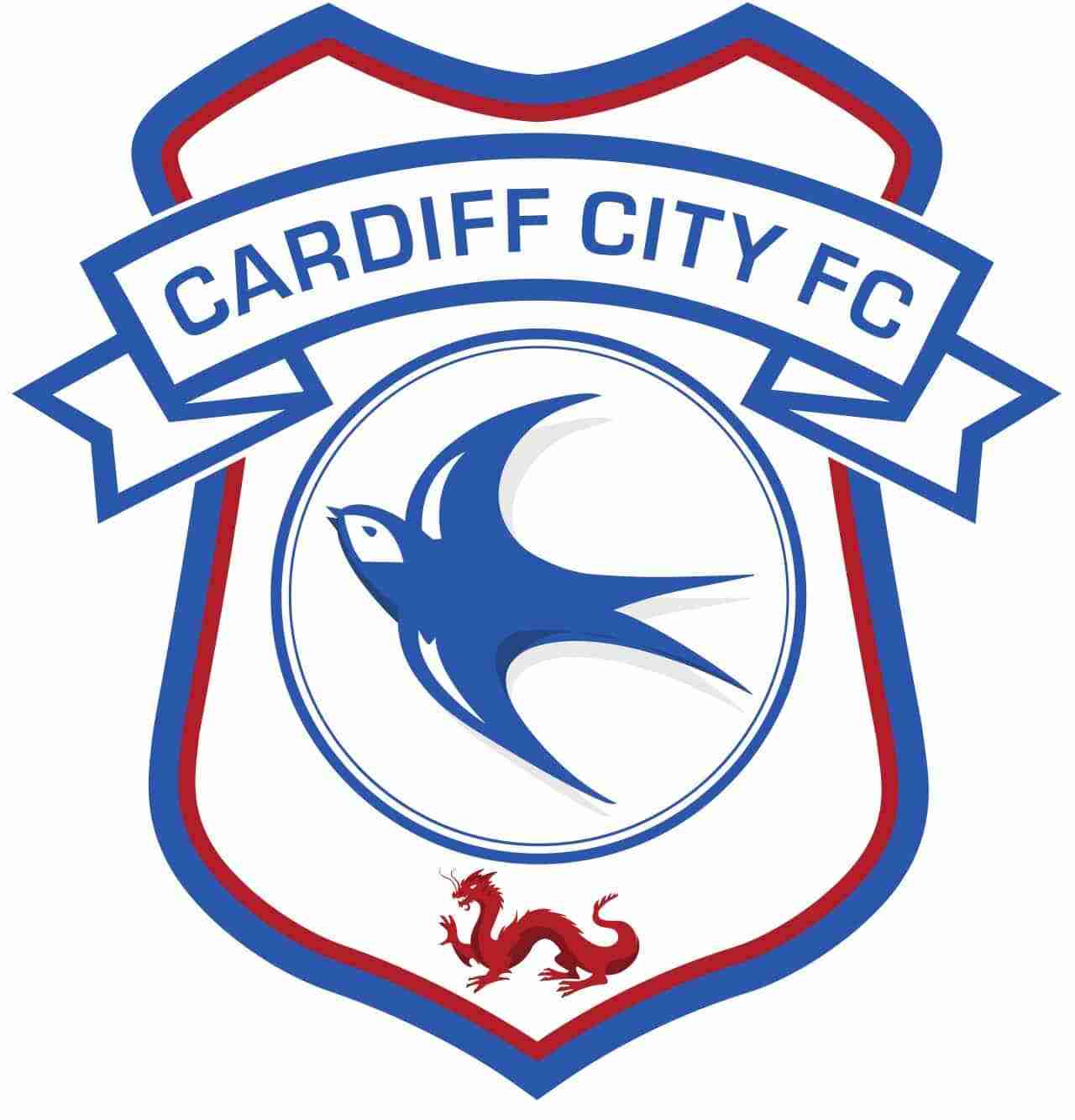 Cardiff City Football Club